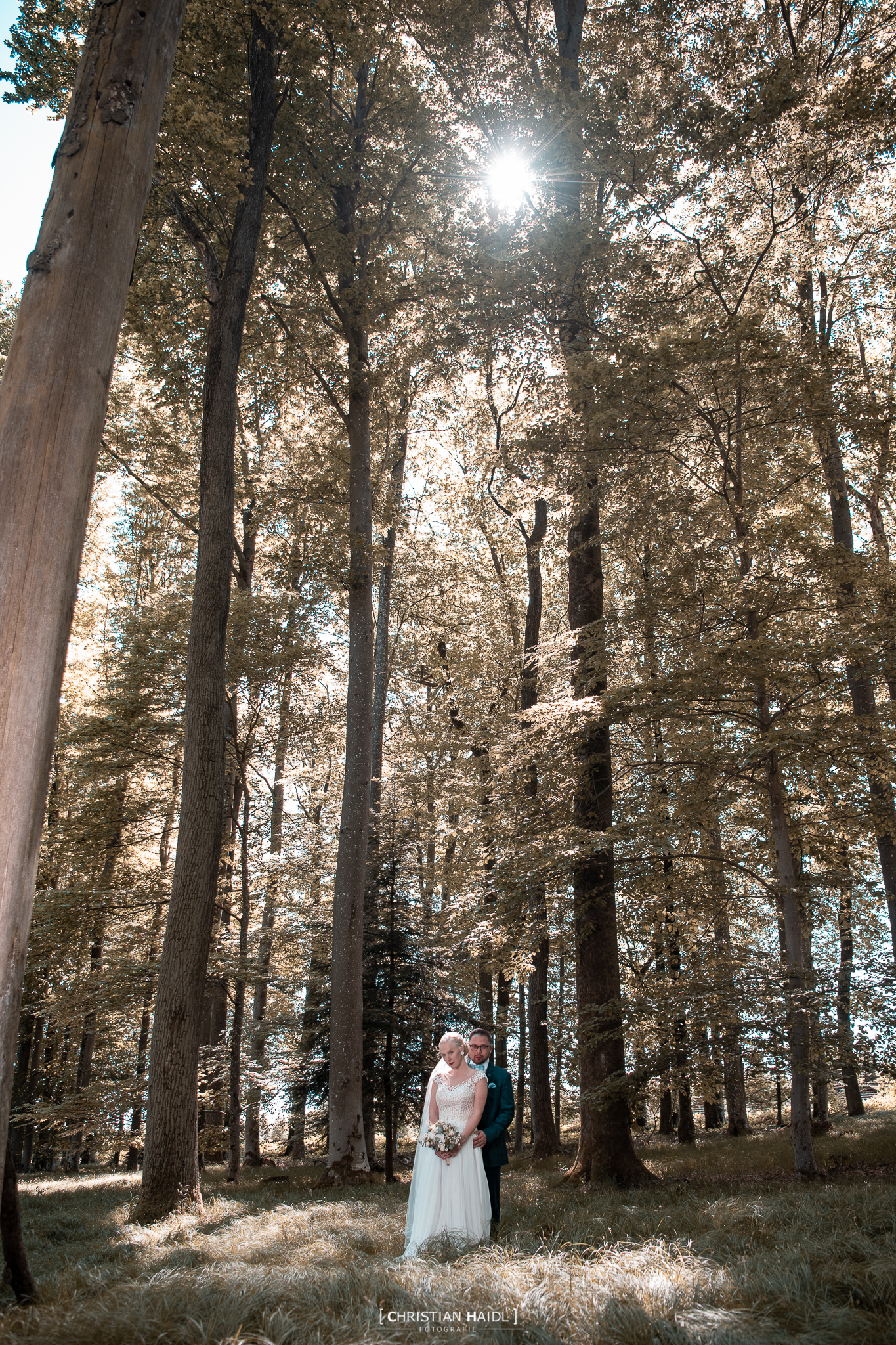 Hochzeitsfotograf im Landkreis Passau, Waldkirchen & Freyung-Grafenau